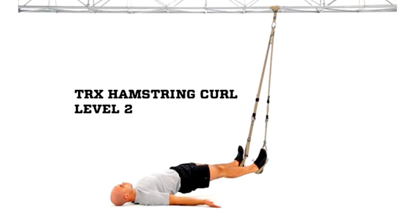 trx_hamstring